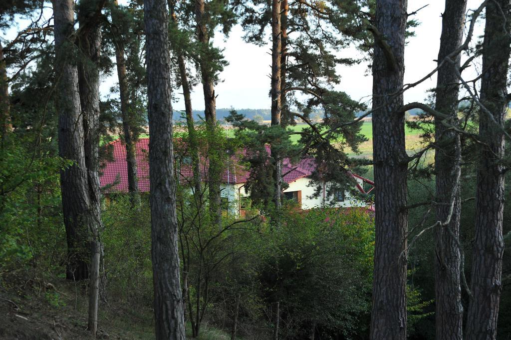 Отель Rasarit De Soare Rotbav Экстерьер фото